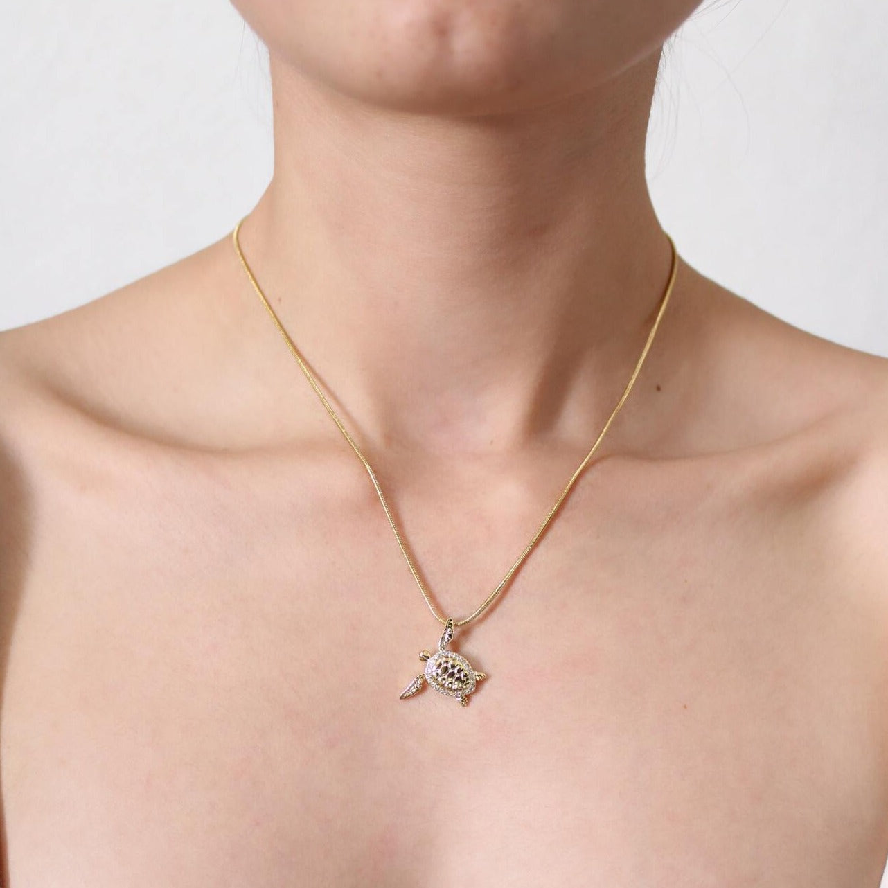 Collar de Tortuga con Significado