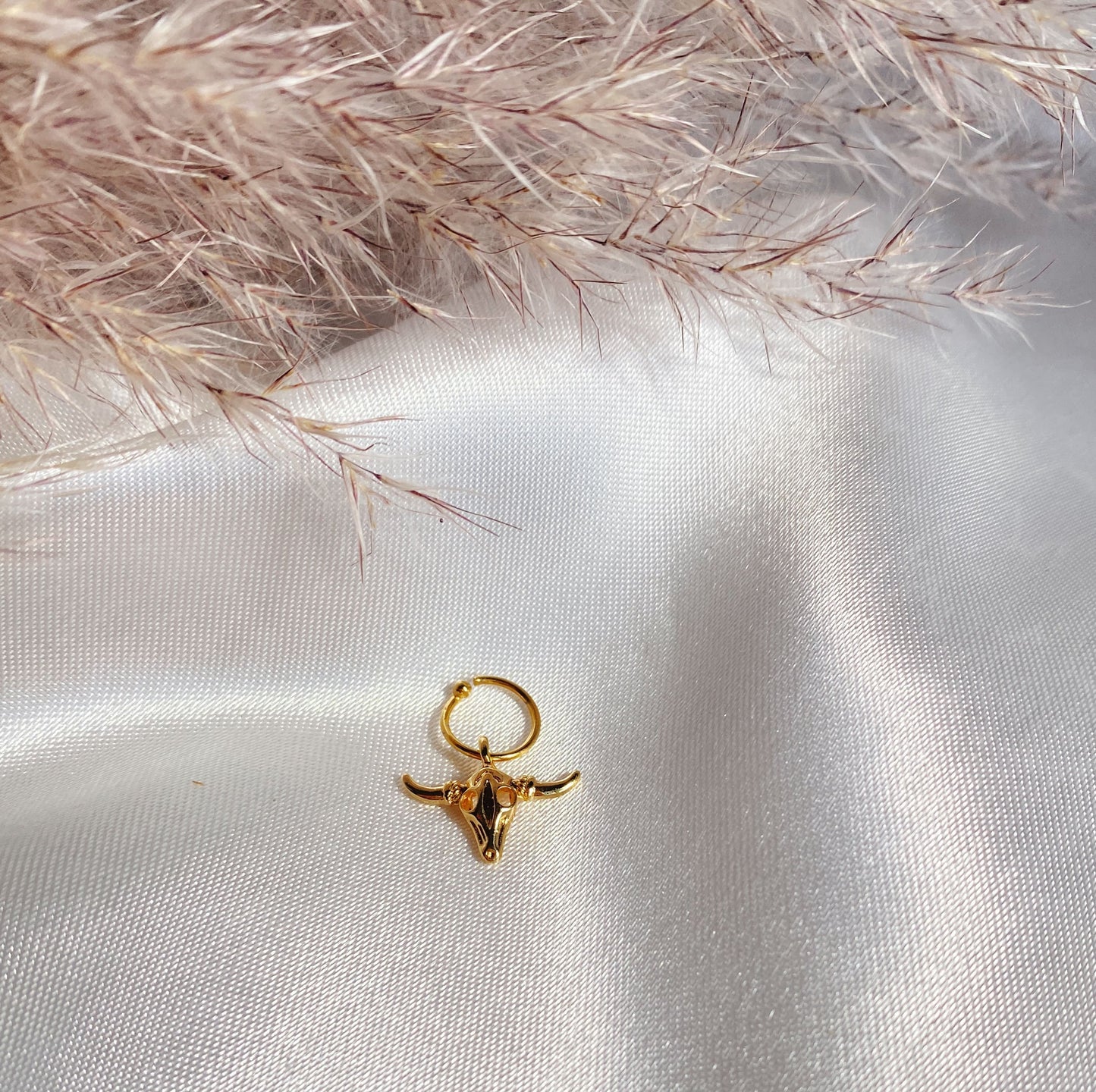 Piercing Cabeza de Toro