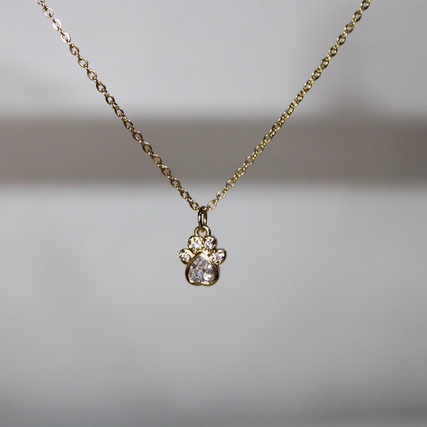 Collar con Significado para esa mascota que ya no está con nosotros